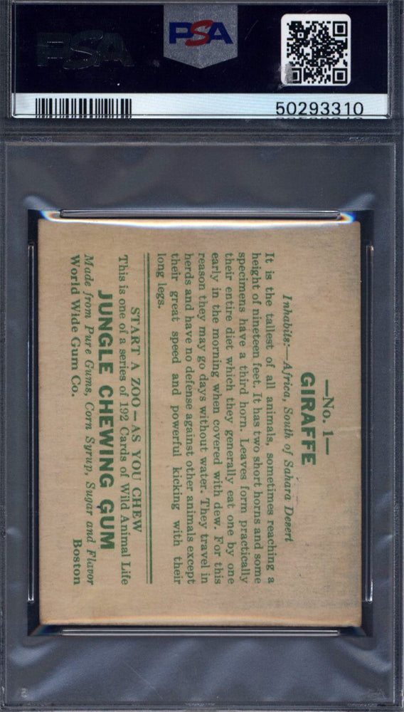 1930 R78 Jungle Gum #1 Giraffe PSA 5