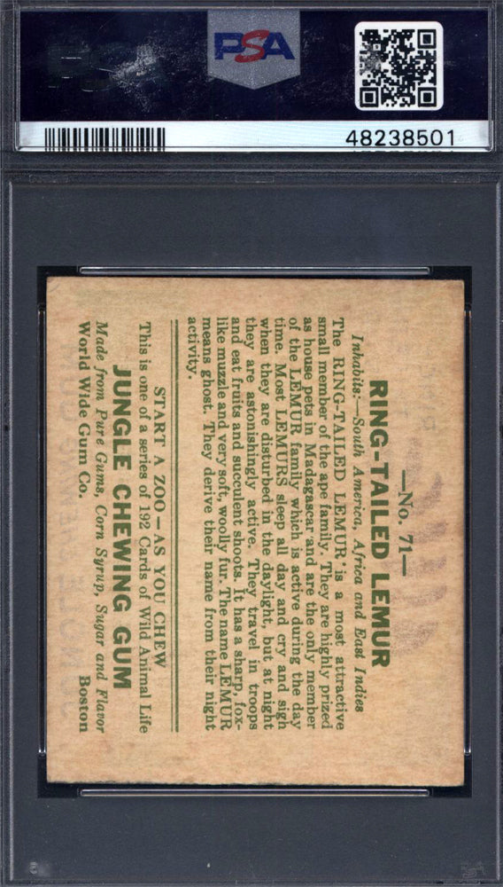 1930 R78 Jungle Gum #71 Ring-Tailed Lemur PSA 6