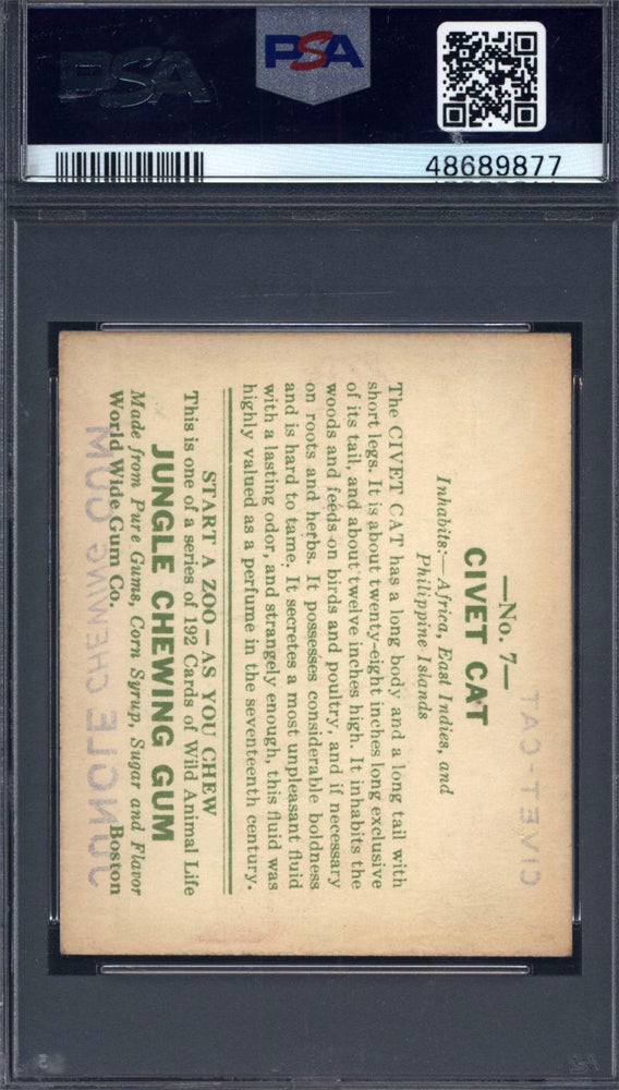 1930 R78 Jungle Gum #7 Civet Cat PSA 5.5