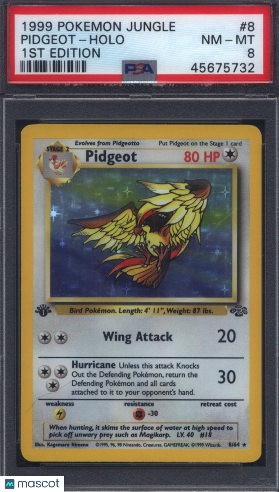 1999 Pokemon Jungle 1st Edition #8 Pidgeot Holo PSA 8