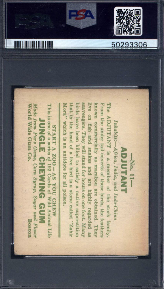 1930 R78 Jungle Gum #11 Adjutant PSA 4