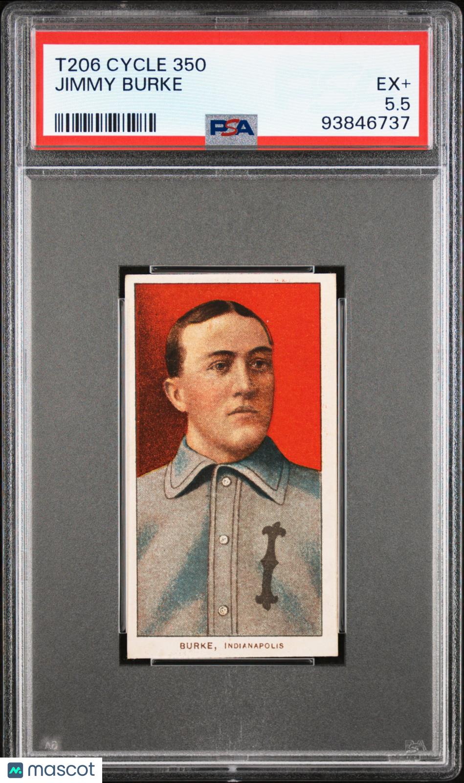 T206 Jimmy Burke Indianapolis PSA 5.5 Cycle Back pop 1 (Only 1 Higher)
