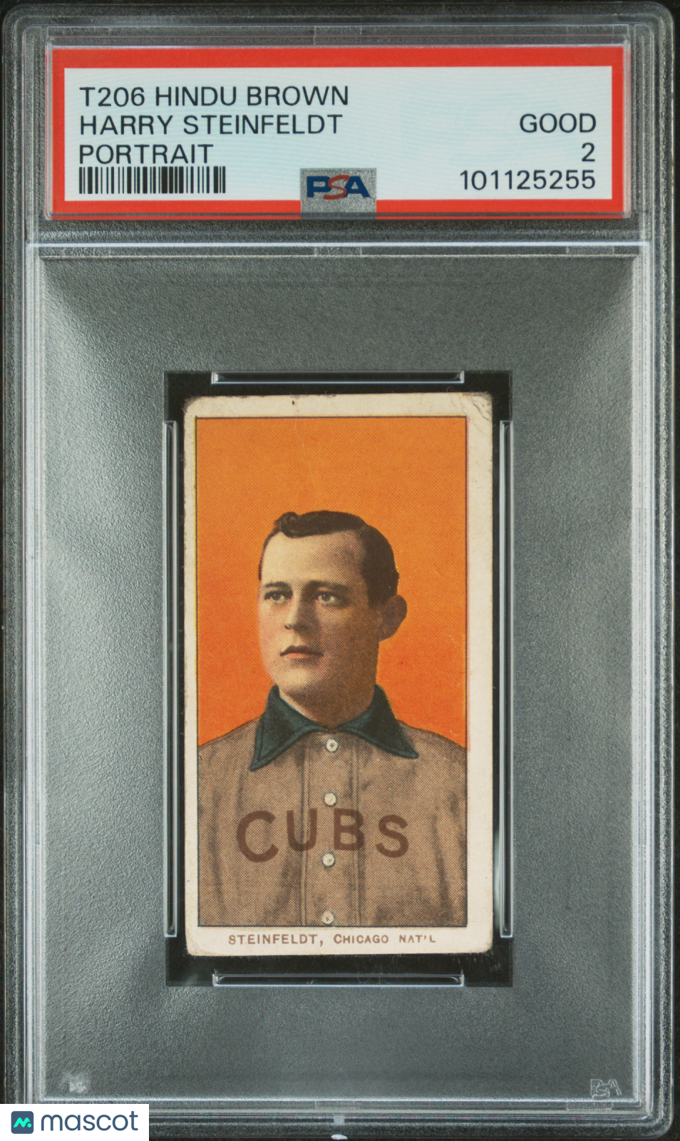 T206 Harry Steinfeldt Portrait Chicago PSA 2 Hindu Brown Back