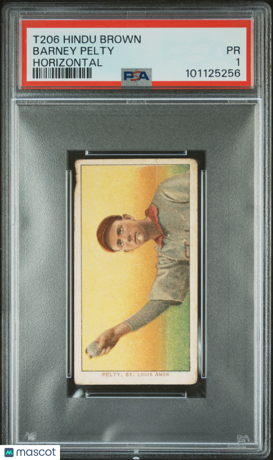 T206 Barney Pelty Horizontal St. Louis PSA 1 Hindu Brown Back