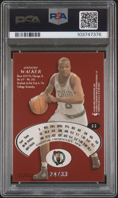 1999 Skybox E-X Essential Credentials Now #33 Antoine Walker Celtics /33 PSA 6