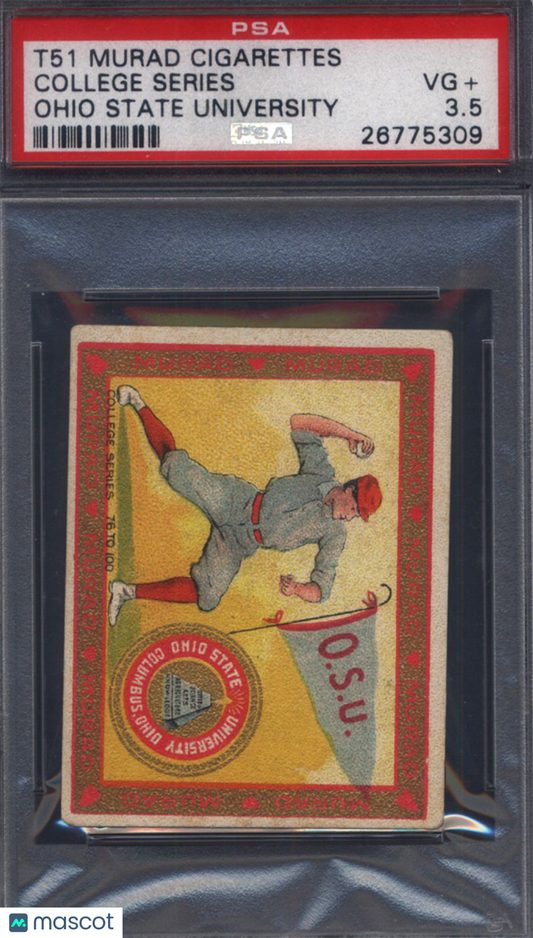 T51 College Series College Series Ohio State University Baseball PSA 3.5