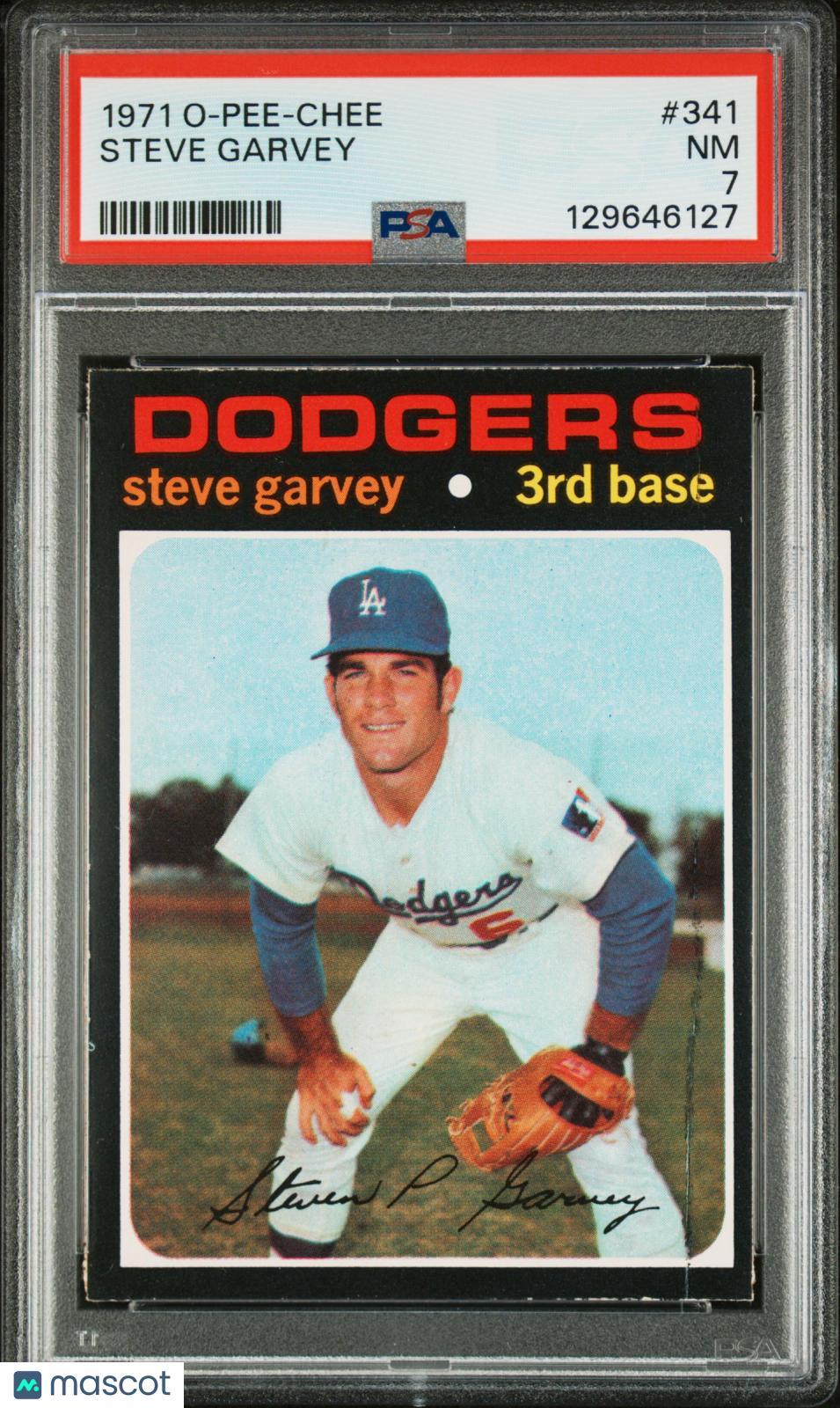 1971 O-Pee-Chee #341 Steve Garvey Rookie Dodgers PSA 7