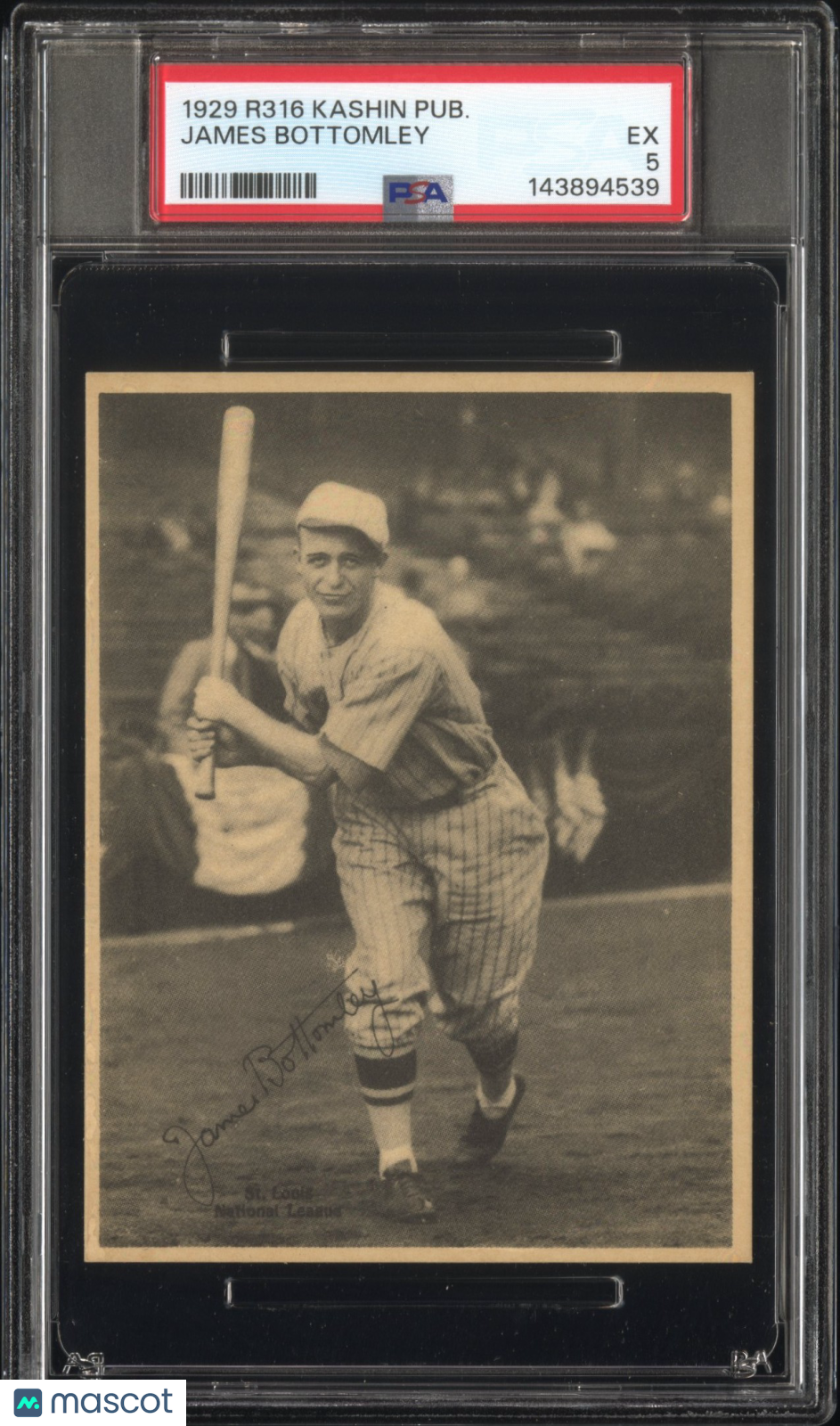 1929 R316 Kashin Publications James Bottomley Cardinals PSA 5